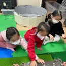 아침해유치원 이미지