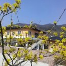 구레울체험마을 이미지