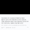 마레포스 이미지