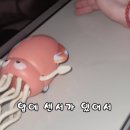 춤추는오징어