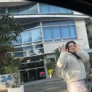 엘시엘로 | 플라야델카르멘 코즈멜섬 스노쿨링 투어 배 멀미약 필수/ 코즈멜 공항 하나도 안어려워요 코즈멜공항 후기