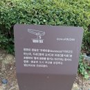 연화공원 광안대교 이미지