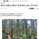 대룡산길 이미지