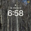 땡그리김밥 이미지