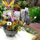 꽃나라화원 이미지