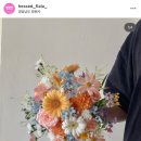 헤쎄드플라라