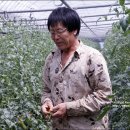 김광영농장 이미지