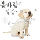 즐거운 동물병원 이미지