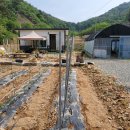 여름농장 이미지