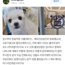 라엘동물병원 | [라엘 동물병원 후기 모음] 칭찬은 원장을 춤추게 한다..👏