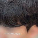 성진자동차서비스 | 인생 머릿결 찾아 떠난 황홀경, 노원미용실 방문기