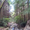 동아대학교의료원 이미지