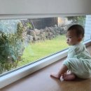 나름의 고요 이미지