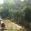 해정농장 이미지