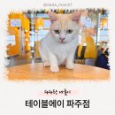 파주 아이와 방문하면 좋을 실내 동물원 ‘테이블에이 파주점’ : 고양이, 알파카를 한 곳에