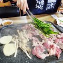 오리한마리 이미지