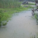 칠석농장 이미지