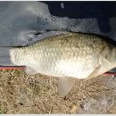 용담낚시터 이미지