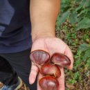 도덕농장 이미지