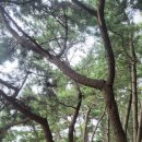 삼봉자동차야영장 이미지