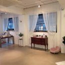 펫디자이너 시나 이미지