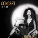 김완선 카카오 검색결과