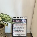 아돌첸도피아노 이미지