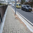 예담떡시루