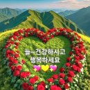 ♧솔 숲따라 천년의 세월 길 걷기좋은 봉곡사 천년의 숲길 테마 이미지