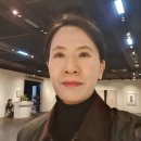 법무법인천지인 이미지