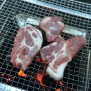 풀빛둥지펜션 | [강원도 반려견 동반 숙소] 양양 풀빛둥지펜션