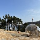 칸델라식당 이미지