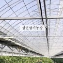 성연농장 이미지