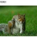 네일로와 이미지