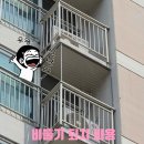 씨유 수지편한세상점 | [용인 수지구 죽전동] 비둘기퇴치 비용부터 결과까지***현인마을 이편한세상 후기