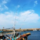 북항물양장위판장 이미지