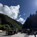 황룡택시 이미지