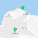 밍그린스튜디오