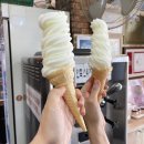 도야지 친구들 이미지