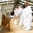 연암농장2 이미지