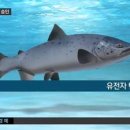 환호축산 이미지