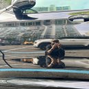 소낙스 | BMW X3 플러그인 하이브리드 블랙사파이어 관리 꿀팁! 소낙스 코팅&amp;벤딕트 청소기 직접 써본 솔직후기🚘
