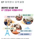 2014년 주니어영어캠프 EF학원 영국 싱가포르 호주 미국 캐나다 이미지