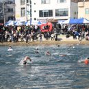 축제의 바다 이미지