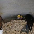 교신경로당 이미지