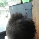 곰달래PC 이미지