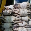 미성자원환경 이미지