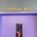 보라눈썹 이미지