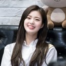 소나무와커피 이미지