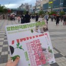 미가김밥 이미지